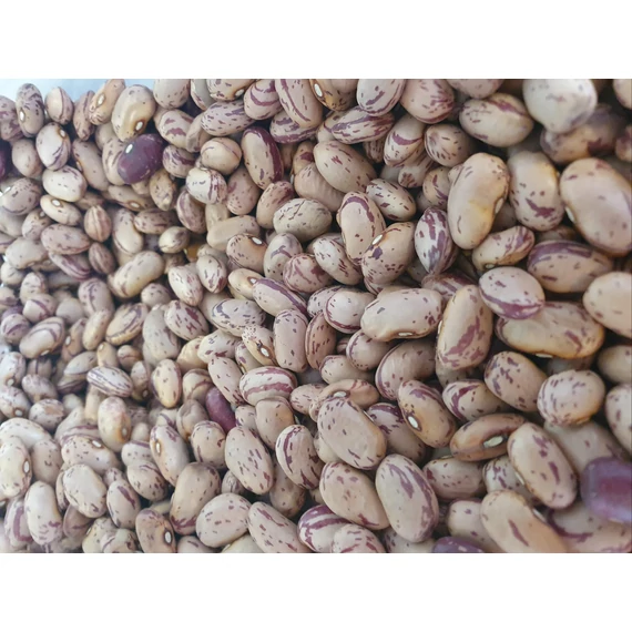 Kokóbab, 10 dkg